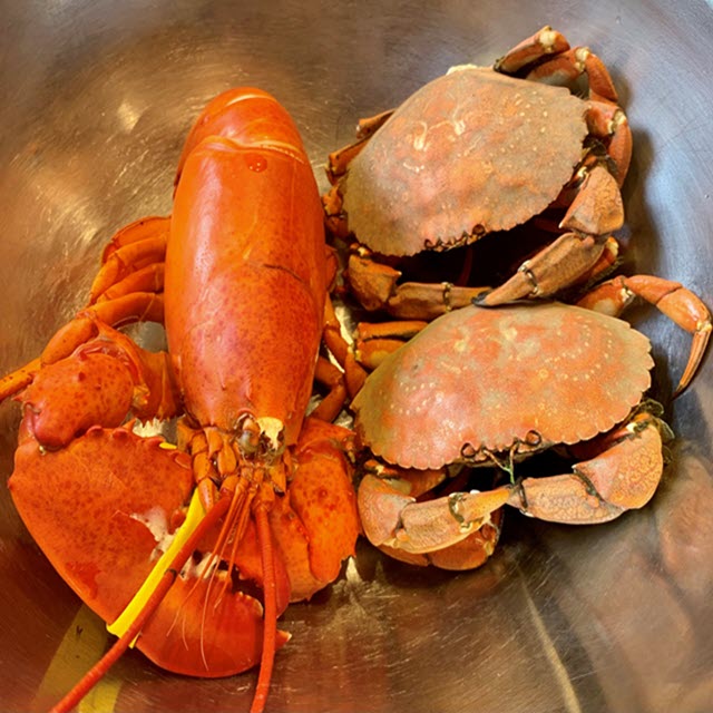 Cooked lobster and crabs